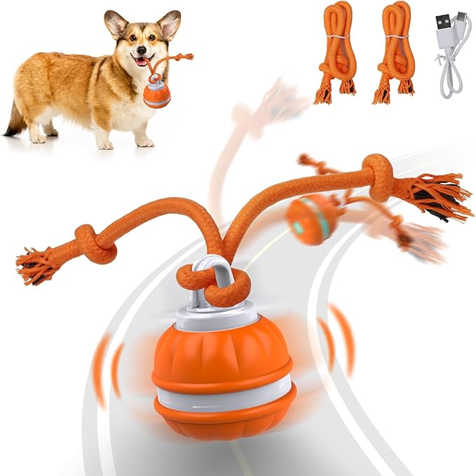 Peppy Pet Ball for Dogs, Dog Interactive Toys,Motion Activate Rolling Ball for Puppy/Small Dogs, Automatic Moving Toy,USB Rechargeable