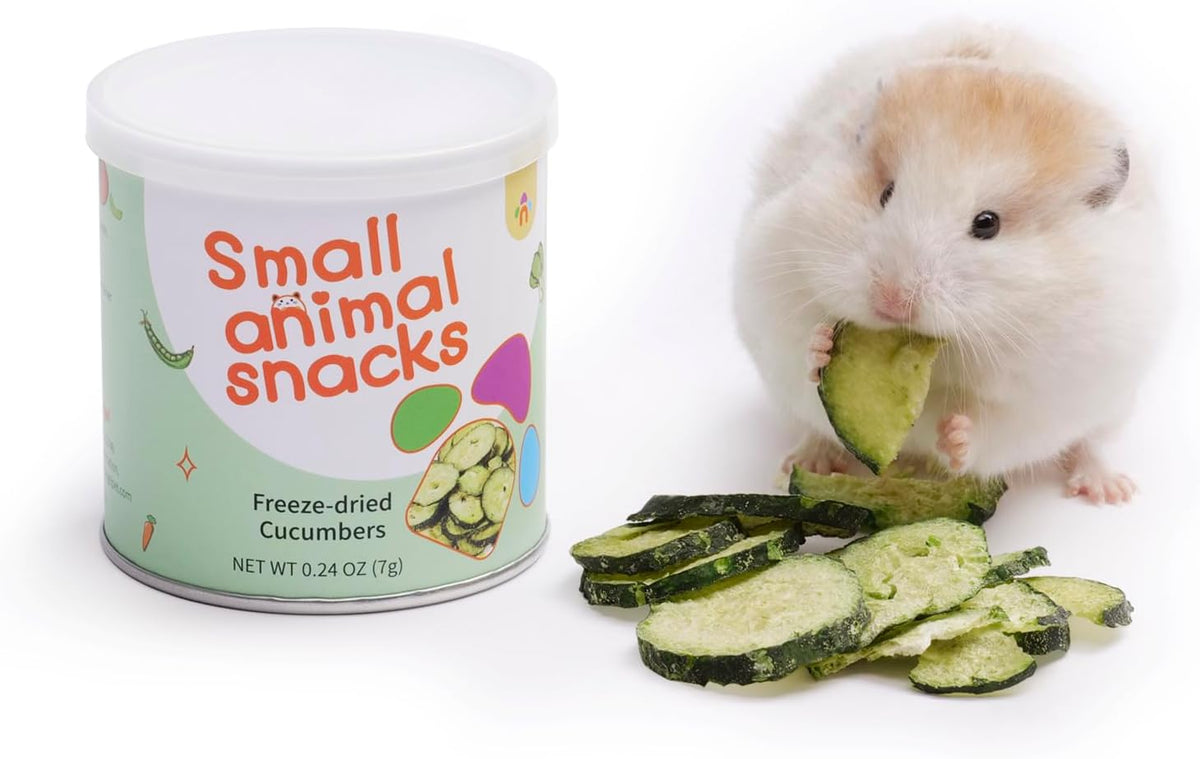 Niteangel Hamster Snack & Treats Toy - Small Animal Natural Treat for Dwarf Syrian Robo Hamsters Gerbils Mice Lemmings Degus or Other Small-Sized Pets