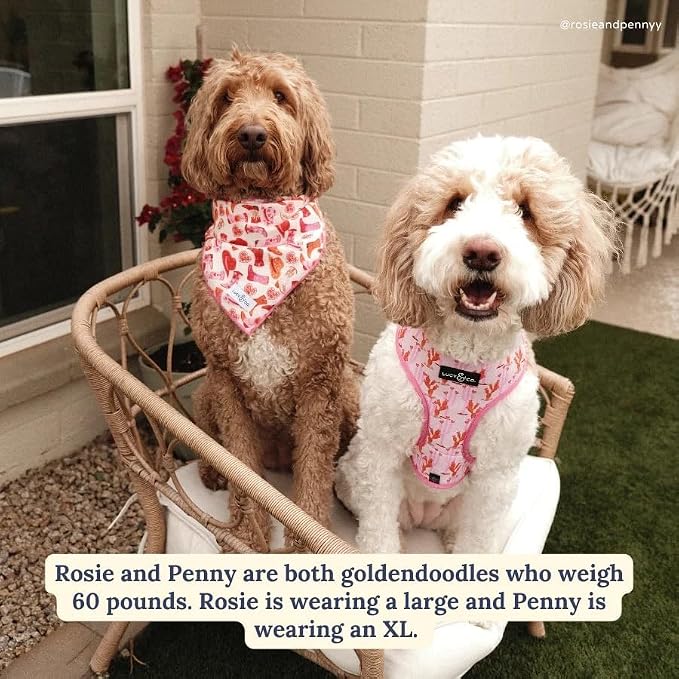 Lucy & Co. Reversible Dog Harness - Water-Repellent Neoprene, Dual-Print Design, Easy Swap Style, Adjustable Comfort Fit - Howdy Honey Reversible Harness - X-Large