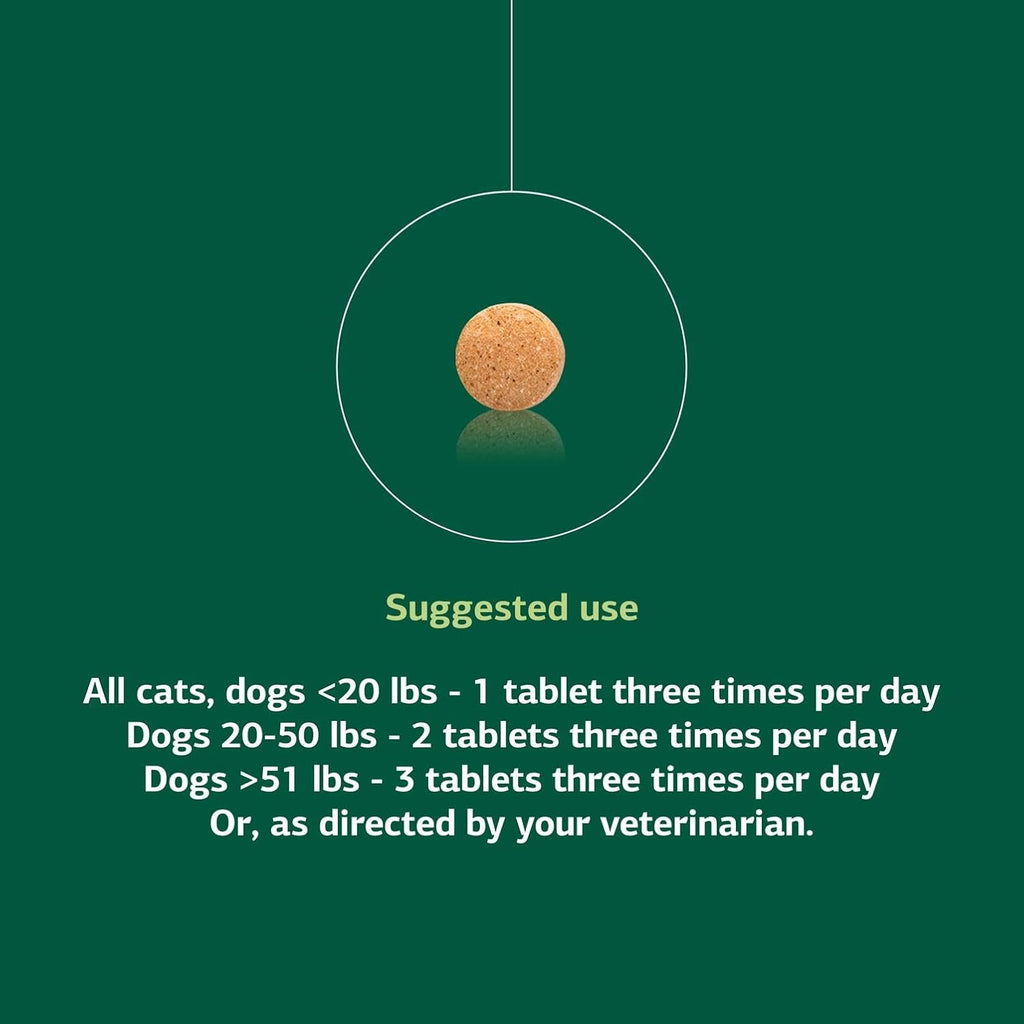 Standard Process Inc. VF Thymex for Pets - Cat & Dog Immune System Support Supplement - Thymus Supplement to Aid Canine & Feline Immune Health - Supplement with Vitamin C - 90 Tablets