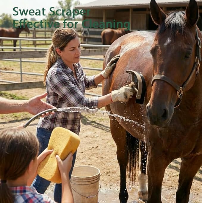 Horse Grooming Kit 13 Piece, Horse Brushes for Grooming Supplies Set with Organizer Bag, Horse Brush & Curry Comb for Effective Cleaning, Gift for Horses Riders Beginners