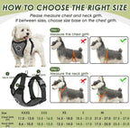 SlowTon Dog Seat Belt Harness for Car, Dog Car Harness Adjustable Mesh Breathable & Dog Seatbelt Safety Tether with Elastic Bungee for Small Medium Large Pets(Grey, Double Clip, M)