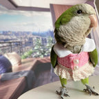 Bird Diaper Flight Suit - Pink Top Cosplay Photo Prop for Parrots, Lovebirds, Parakeets, Cockatiels & Small Animals (Green-cheeked Conure)
