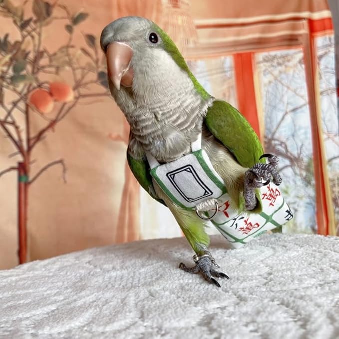 Bird Diaper Harness Flight Suit Clothes, Parrot Flight Suit with Leash for Parrot, Bird Flying Clothes with Rope and Handle for Outdoor Activities Training (with Leash,Budgie)