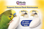 Birds LOVE 3.5-4″ Cuttlebone for Birds – 100% Natural Sun-Dried Calcium & Beak Conditioning Supplement for Parakeets, Budgies, Cockatiels, Finches & Canaries – 4 Pack with Holder – Made in Vietnam