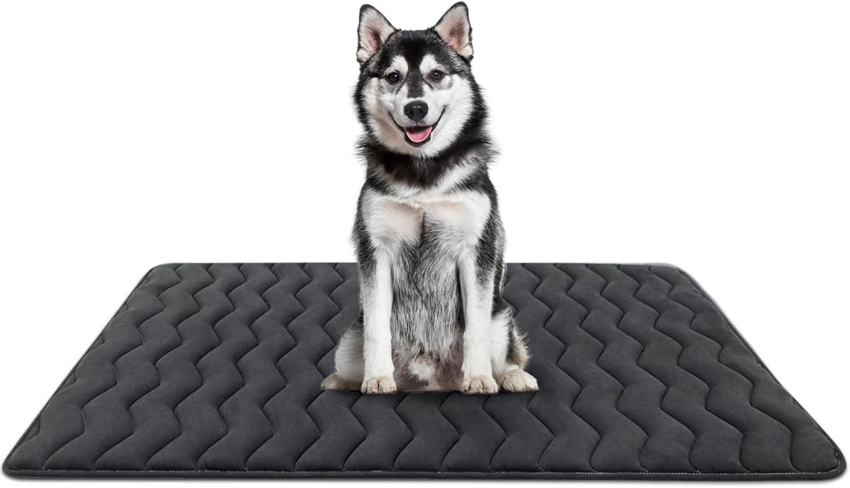 Bubble bear Dog Crate Mat - Upgraded Thick, Ultra Soft, Washable & Anti-Slip Kennel Pad for Small/Medium/Large Dogs, Dark-Hued to Hide Stains (48"x30")