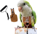 Bird Diaper Harness Flight Suit Clothes, Parrot Flight Suit with Leash for Parrot, Bird Flying Clothes with Rope and Handle for Outdoor Activities Training (Sun Conure,with Leash)