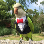 Bird Clothes Birds Flight Suit,Tuxedo Business Suit for Parrots African Greys Parakeet Cockatiel Sun Conure Christmas Party Birthday Cosplay Photo Prop Small Animals Apparel (2XL,Black Suit)