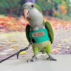 Bird Flight Harness Vest, Snap-Fastener Design Harness Vast, Parrot Flight Suit with Leash for Parakeets Budgies, Bird Flying Clothes with Rope and Handle for Outdoor Activities Training, Anti Bite