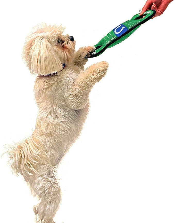 NFL Football Field DOG TOY with Squeaker. - INDIANAPOLIS COLTS - For Tug, Toss, and Fetch. - Tough & Durable PET TOY