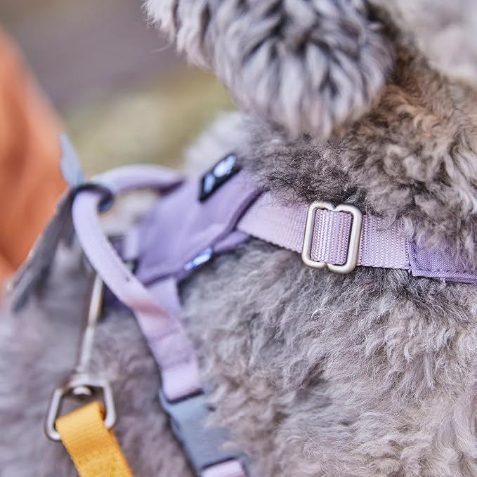 Hurtta Seeker Harness, Forest, 14-18 in