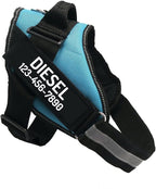 PawPawify Custom No Pull Dog Harness with Name and Phone Number, Heavy Duty Personalized Pet Vest to Prevent Tugging, Pulling, or Choking, Training and Walking (SkyBlue, XXL (85-140 LBS))