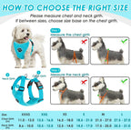 SlowTon Dog Seat Belt Harness for Car, Dog Car Harness Adjustable Mesh Breathable & Dog Seatbelt Safety Tether with Elastic Bungee for Small Medium Large Pets(Light Blue, Double Clip, XXS)