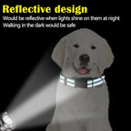 Sanwuta 12 Pcs Reflective Puppy Dog Collars Bulk for Litter Dogs Adjustable Safety Nylon Collars with Locking Buckle Soft Padded Breathable Puppy Collar for Cats Pets(Medium)
