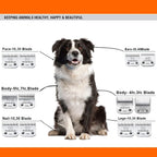 3pcs 7FC Blades Dog Grooming Replacement Blades Compatible with Andis Dog Clipper,Ceramic Blade & Stainless Steel Blade