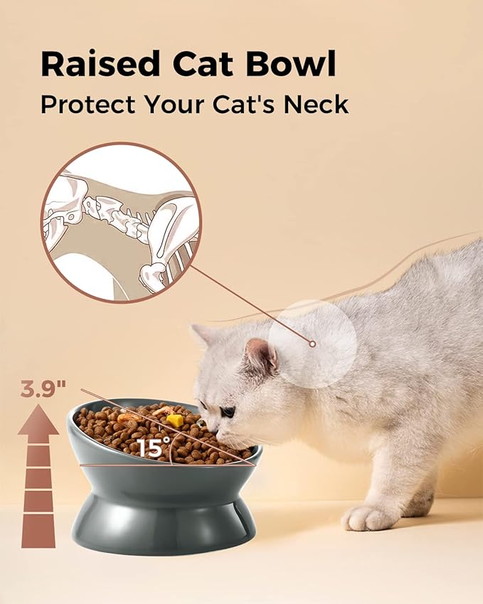 LoeJan Elevated Cat Food Bowl, 5 Oz Ceramic Raised and Tilted Water Bowl, Anti Vomiting and Protect Pets' Spines Dishes for Small Dog, Fat Faced Cat, Kitten (Gray, 1 Pack)