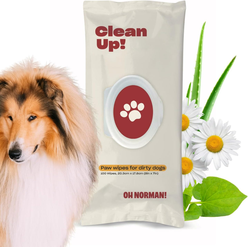 OH NORMAN! Clean Up Paw Wipes for Dogs (8x7) by Kaley Cuoco, Gentle Pet Grooming Wipes, Plant-Based and Unscented, 100 Count