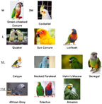 Bird Costume Bird Diaper Flight Suit Cute JK Dress Dress Skirt Clothes Cosplay Photo Prop for Parrots Macaw Cockatoo (with Diaper,XL)