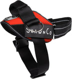 ShawnCo Essential Pro Dog Harness, No-Pull Pet Vest with 3 Leash Clips and Removable, Reflective Side Patches, Adjustable and Padded Harness for Small, Medium and Large Dogs (Mustang Red, M)