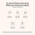 Now Fresh Grain-Free, Dry Dog Food, Real Trout, Salmon and Herring Adult Recipe, All Breed Size, 22 lb Bag