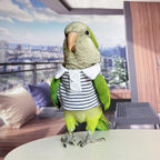 Bird Costume Bird Diaper Flight Suit Bird Summer Clothes Cosplay Photo Prop for Parrots Lovebird Parakeet Cockatiel Small Animals Apparel (Without Diaper,Alexandrine)