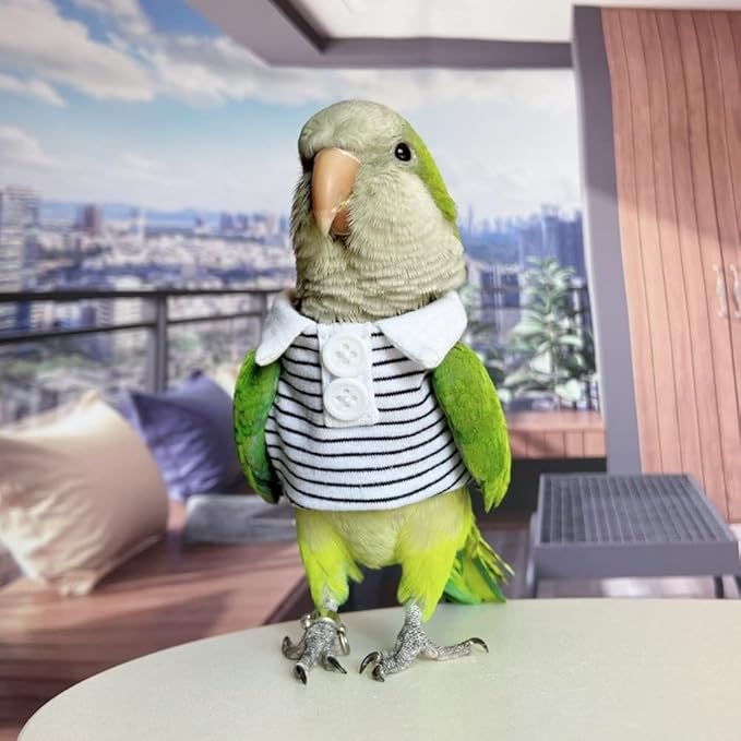 Bird Costume Bird Diaper Flight Suit Bird Summer Clothes Cosplay Photo Prop for Parrots Lovebird Parakeet Cockatiel Small Animals Apparel (Without Diaper,Alexandrine)
