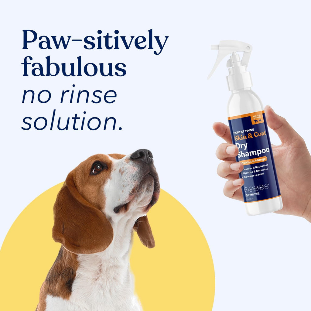 Honest Paws Dog Dry Shampoo - Waterless No Rinse Spray Formula Reducing Itch Cleanse Hydrate Nourish Dry Skin and Smelly Coat Help Decrease Odor Shedding and Allergies - Coconut & Mango - 8 oz