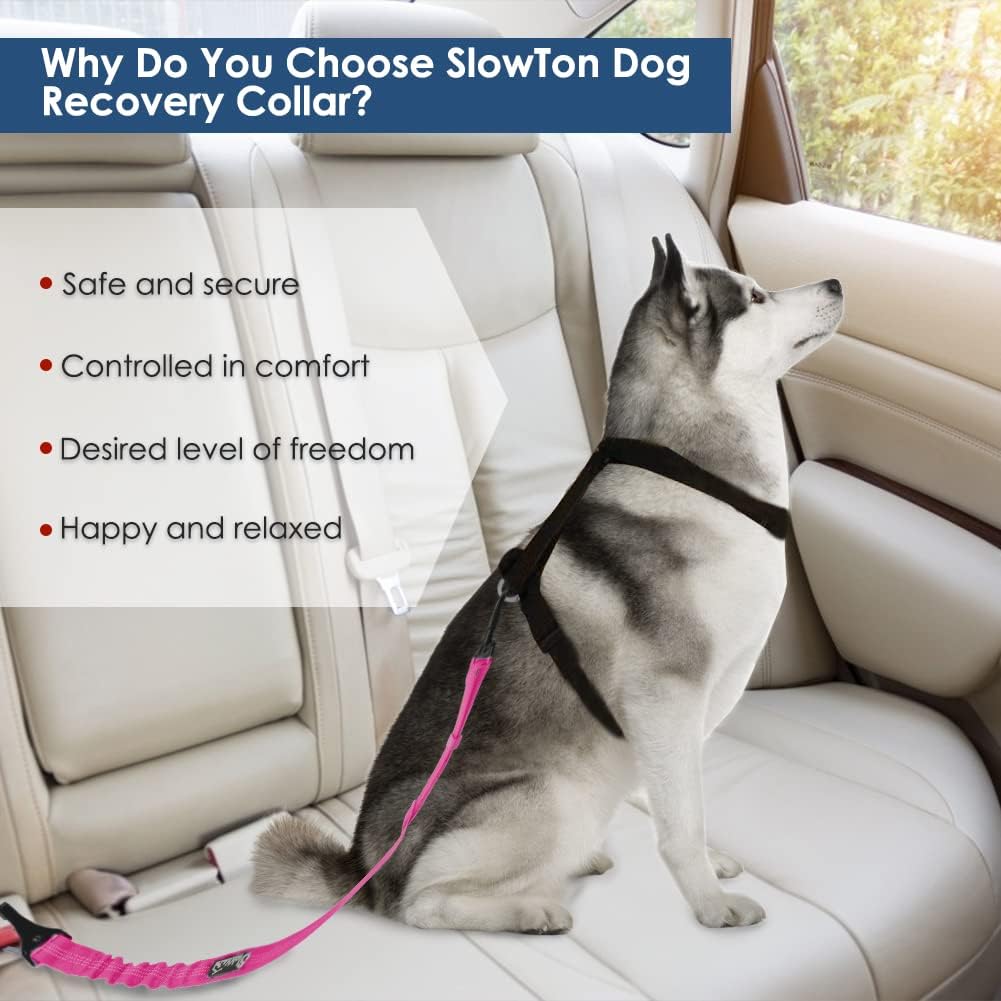 SlowTon Dog Seat Belt, Adjustable Dog Safety Belt Leash, 2 in 1 Latch Bar Attachment Dog Car Seatbelt with Elastic Nylon Bungee Buffer, Reflective Nylon Belt Tether (FU)