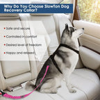 SlowTon Dog Seat Belt, Adjustable Dog Safety Belt Leash, 2 in 1 Latch Bar Attachment Dog Car Seatbelt with Elastic Nylon Bungee Buffer, Reflective Nylon Belt Tether (FU)