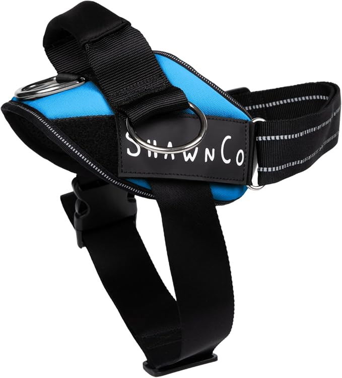 ShawnCo Essential Pro Dog Harness, No-Pull Pet Vest with 3 Leash Clips and Removable, Reflective Side Patches, Adjustable and Padded Harness for Small, Medium and Large Dogs (Oceanic Blue, S)