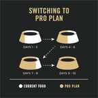 Purina Pro Plan Sensitive Skin and Sensitive Stomach Dog Food Lamb and Oat Meal Formula - 4 lb. Bag
