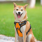 PoyPet No Pull Dog Harness, Reflective Comfortable Vest Harness with Front & Back 2 Leash Attachments and Easy Control Handle Adjustable Soft Padded Pet Vest for Small to Large Dogs (Orange,XL)