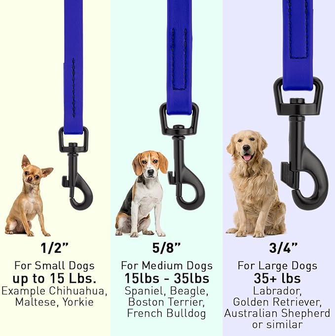Dogline Biothane Waterproof Dog Leash Strong Coated Nylon Webbing with Black Hardware Odor-Proof Easy to Clean High Performance for Small or Large Dogs Made in USA 4 or 6 ft Lead, Blueberry Royal