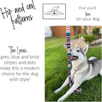 Lucky Love Dog - Adjustable Dog Collar and Leash Set with Easy Click Buckle for Small Dogs, Durable, & Comfortable Collar for Male & Female Dogs, Puppies & Adult Ones - Linus Combo, Small