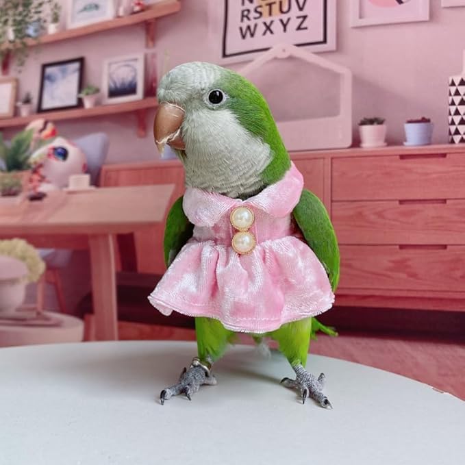 Bird Costume Bird Diaper Flight Suit Parrot Velvet Fleece Skirt Clothes Cosplay Photo Prop for Conure Lovebird Parakeet Cockatiel Macaw Small Animals Apparel (White,Sulphur-Crested Cockatoo)