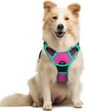 rabbitgoo Dog Harness No Pull with 2 Leash Clips, Adjustable Soft Padded, Reflective Oxford No Choke Pet Vest with Easy Control Handle for Large Dogs, Hot Pink & Turquoise, M