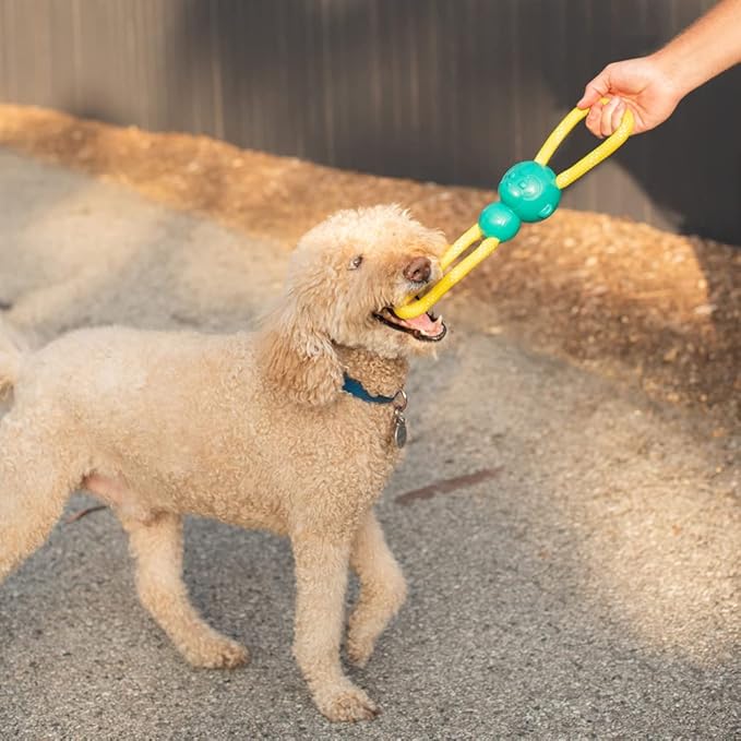 ZippyPaws - RopeTugz Pink Aggressive Chewers Dog Toy - Durable Rope, Squeaky Chew Toy, Perfect for Tug of War, Suitable for Small, Medium, and Large Breeds - Machine Washable