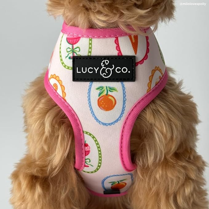 Lucy & Co. Dolce Vita Reversible Dog Harness, Adjustable Comfort Fit with Dual Leash Attachments, Small