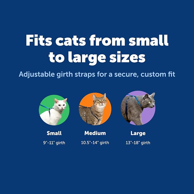 PetSafe Come With Me Kitty Harness and Bungee Cat Leash, Medium, LILAC/BRIGHT PURPLE, Model:CWMK-M-LLC | Adjustable 2-Point Fit Applies Gentle Pressure to Shoulders, Not Neck, for Small & Average Cats with 10.5 in - 14 in Girth
