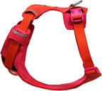 Ruffwear, Front Range Flex Dog Harness, Engineered Knit Construction for Ultimate Fit and Mobility, Lightweight Flexible Everyday Harness with Dual Leash Clips, Rose Violet, Medium