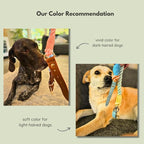 Pawtopia Cotton Braided Rope Collar for Medium Dogs, Vegan Leather Handle (Light Blue) with One Complimentary Roll of Dog Poop Bags (15 Bags), Durable Metal Buckle (Soft Rainbow Color, Medium)