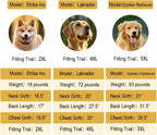 Microfiber Dog Bathrobe Towel Super Absorbent Dog Quick Dry Bathrobe for Puppies, Suitable for Medium and Large Dogs (Purple, XL)