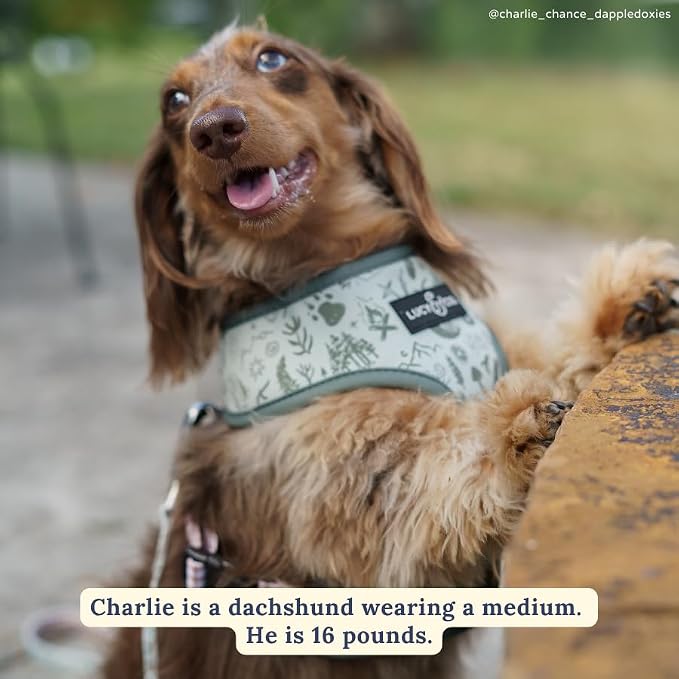 Lucy & Co. Reversible Dog Harness - Water-Repellent Neoprene, Dual-Print Design, Easy Swap Style, Adjustable Comfort Fit - Camp Out Reversible Harness - X-Large