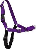 PetSafe Easy Walk Harness, No Pull Dog Harness, Deep Purple, Medium/Large | Patented Martingale Loop Gives Gradual Shoulder Pressure to Stop Pulling, Front-Chest Leash Clip Prevents Gagging