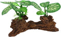 Prettyia Small Driftwood for Aquarium Driftwood Fish Tank Decorations，Aquarium Decor for Fish Tanks & Reptile Terrariumsartificial(Type-A)