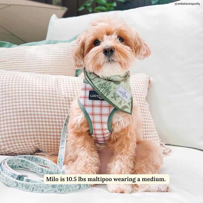 Lucy & Co. Reversible Dog Harness - Water-Repellent Neoprene, Dual-Print Design, Easy Swap Style, Adjustable Comfort Fit - Camp Out Reversible Harness - X-Large