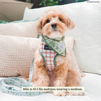 Lucy & Co. Reversible Dog Harness - Water-Repellent Neoprene, Dual-Print Design, Easy Swap Style, Adjustable Comfort Fit - Camp Out Reversible Harness - X-Large