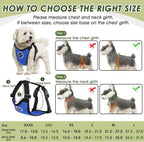 SlowTon Dog Seat Belt Harness for Car, Dog Car Harness Adjustable Mesh Breathable & Dog Seatbelt Safety Tether with Elastic Bungee for Small Medium Large Pets(Blue, Double Clip, XXS)