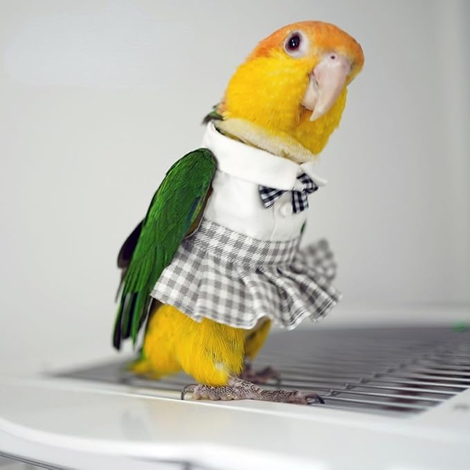 Bird Costume Bird Diaper Flight Suit Cute JK Dress Dress Skirt Clothes Cosplay Photo Prop for Parrots Macaw Cockatoo (with Diaper,XL)