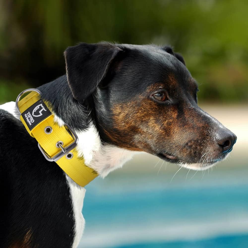 TSPRO Tactical Dog Collar 1.5 Inch Wide Thick Dog Collars with Heavy Duty Metal Buckle, Durable, Strong, Adjustable for Medium to Large Dogs (Yellow L)
